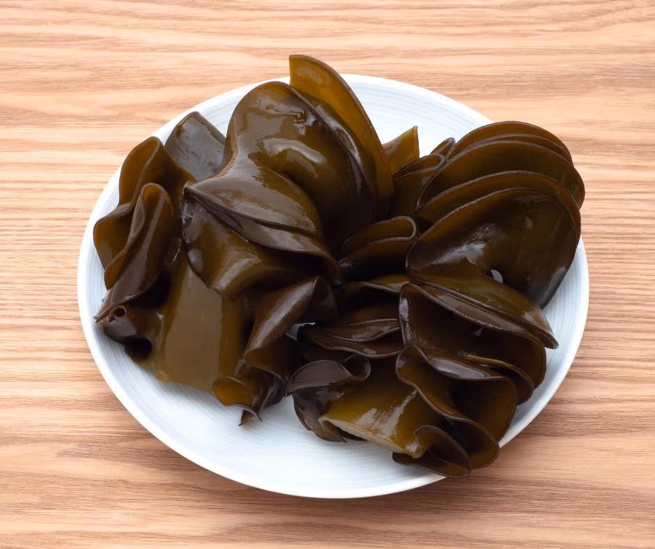Tảo nâu Wakame – nguồn mua canva