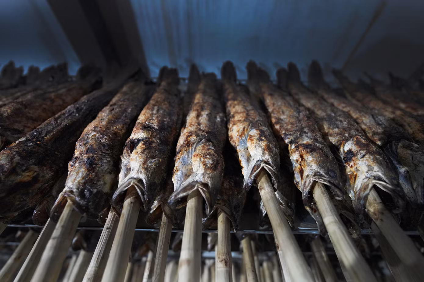 Hàng trăm con cá lóc nướng mía được xử lý sơ để kịp phục vụ khách hàng. Cá là biểu tượng của sự sinh sôi nảy nở và phát tài phát lộc trong nhiều nền văn hóa Đông Á, trong đó có Việt Nam. Cá lóc nướng thường được dùng trong các nghi lễ cúng Thần tài. Người dân tin rằng cá sẽ giúp cầu mong tài lộc, may mắn, đặc biệt là trong các công việc kinh doanh, buôn bán.