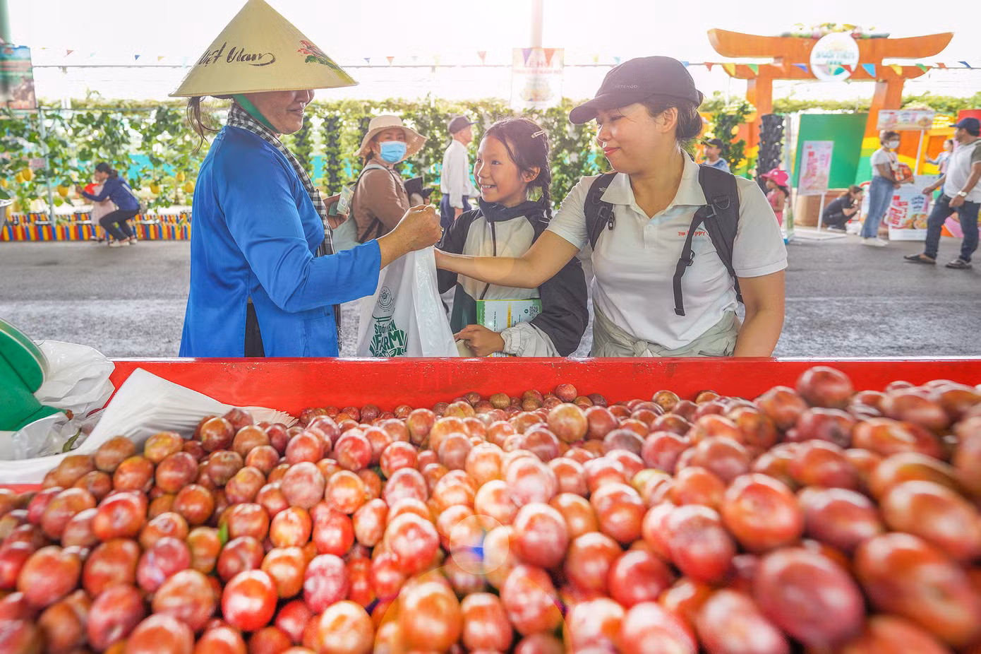 Chợ trái cây đặc sản - nơi quy tụ hàng trăm chủng loại trái cây đầu mùa cùng các sản phẩm OCOP của nhiều địa phương từ khắp vùng miền trên cả nước hội tụ; chất lượng tươi, ngon, giá rẻ hơn thị trường từ 20-30%. "Sầu riêng bên ngoài cũng 120.000-130.000 đồng một ký, trong này có 70.000 đồng. Mận Hà Nội ngoài chợ 30.000 đồng một ký, trong này có 17.000 đồng. Mít tố nữ thì trong này giá bán chỉ bằng một nửa so với bên ngoài... Quan trọng nhất là trái cây tươi ngon, chất lượng", bà Nguyễn Thị Trinh Thương (ngụ Đồng Nai) cho biết.