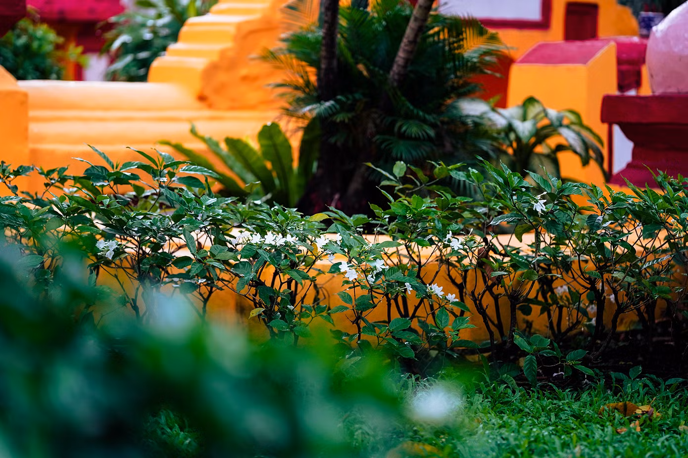 Địa điểm đặc biệt này là một trong những dấu tích xưa còn lại của bậc tiền nhân trong quá trình khai phá vùng đất.