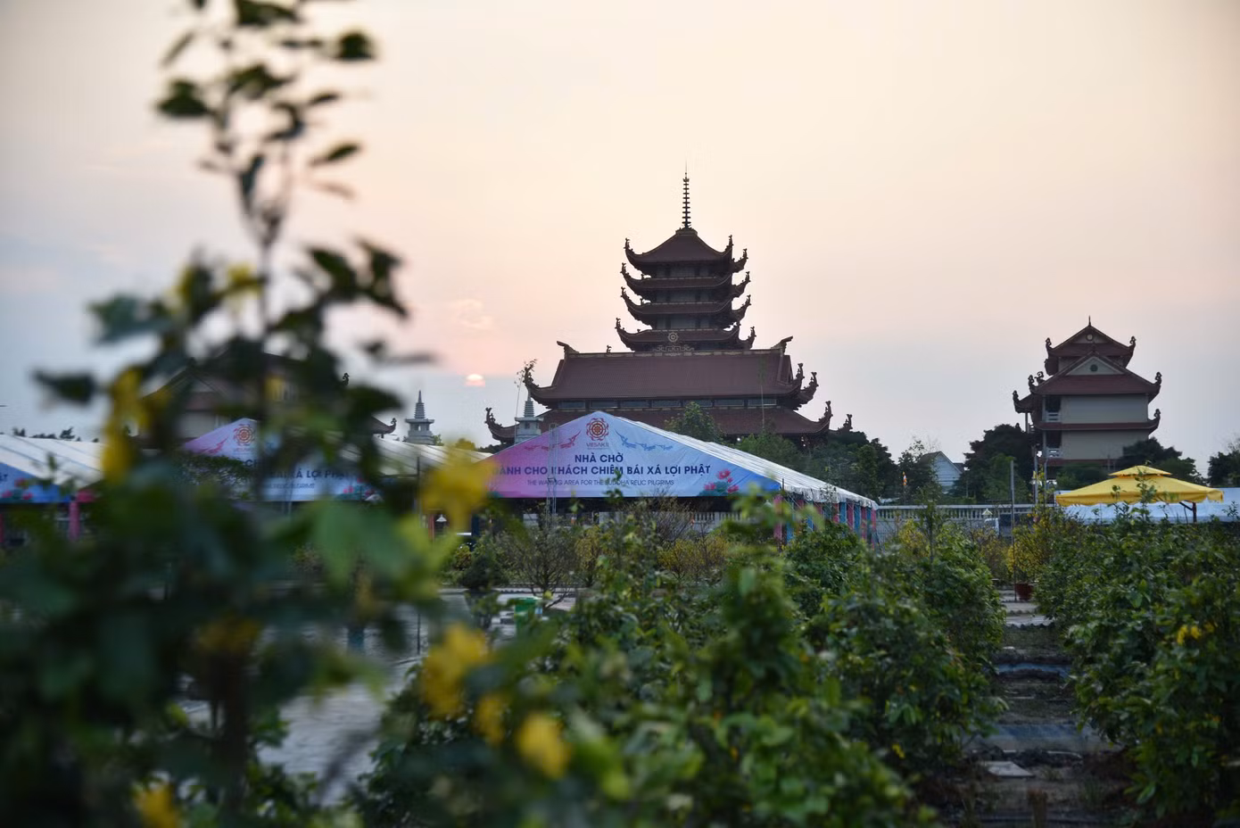 Người dân hạn chế mang theo túi xách, ba lô và đồ đạc cá nhân, không mang theo vũ khí, chất nổ, chất cháy, đồ ăn, thức uống, các vật dụng có thể làm mất trật tự, hoặc ảnh hưởng đến sự an toàn và trang nghiêm nơi tôn trí. Để bày tỏ lòng tôn kính đối với Đức Phật, ban tổ chức mong người dân thực hiện những lưu ý trên để việc chiêm bái đúng ý nghĩa thiêng liêng và trang nghiêm.