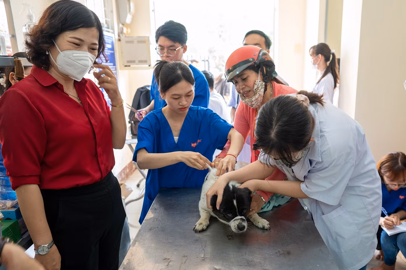Chương trình “Tiêm phòng dại vì cộng đồng” được Công ty Boehringer Ingelheim Việt Nam triển khai tại huyện Đức Huệ từ năm 2021 với tổng số hơn 12.400 con chó và mèo đã được tiêm phòng.