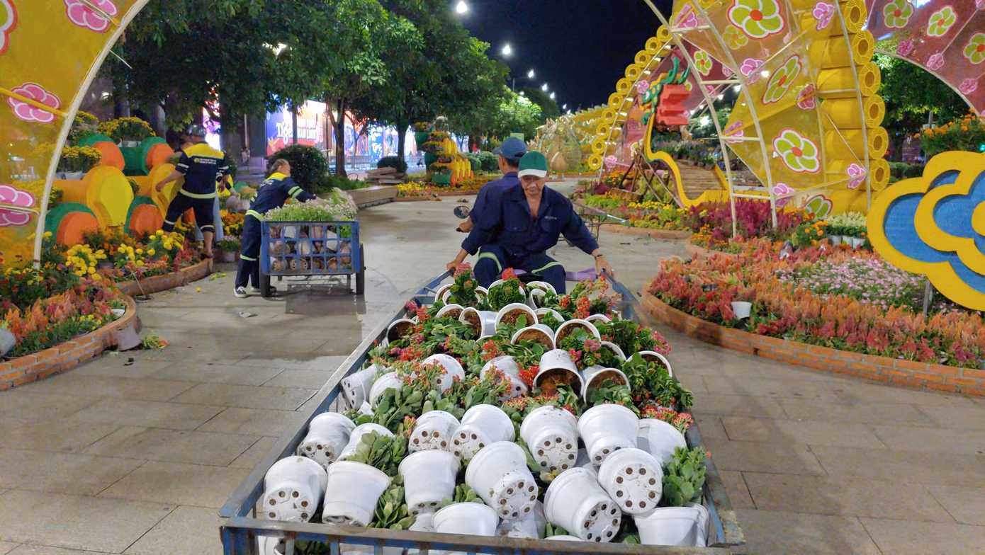 Công nhân thu gom các chậu hoa nhỏ.