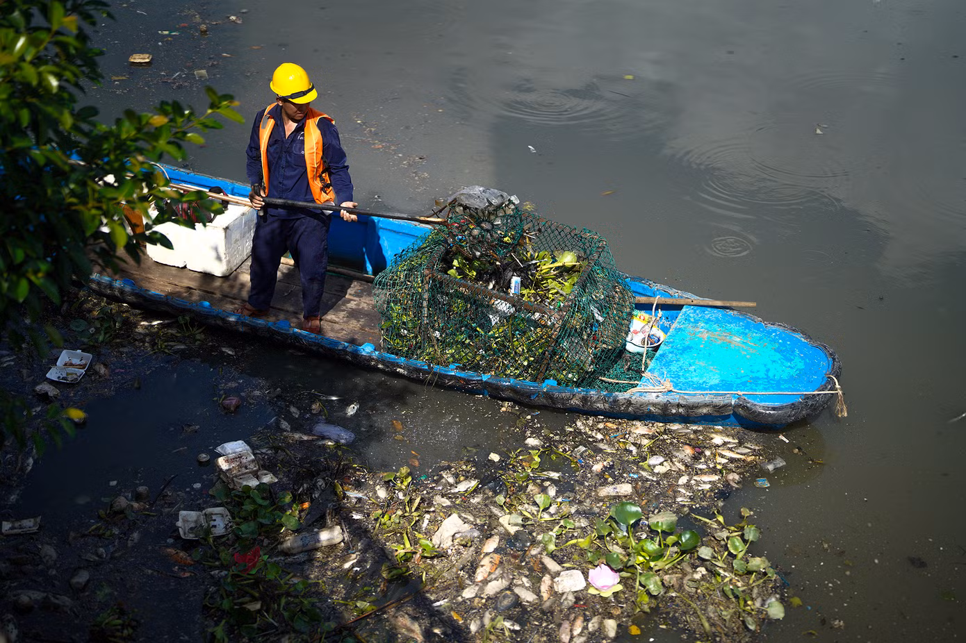 Sau cơn mưa lớn tối 7/5, lượng cá chết nhiều. Đoạn kênh dài khoảng 3km từ đầu cầu Thị Nghè (quận 1) đến cầu Công Lý (quận 3) bị bủa vây bởi hàng loạt xác cá.
