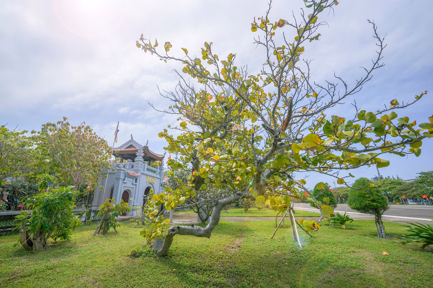 Khung cảnh bình yên ở chùa Trường Sa Lớn mỗi độ xuân về. Trong ảnh, thầy Thích Nhuận Đạt đang cùng chiến sĩ chuẩn bị đón Tết Giáp Thìn. Luôn kề cận bên thầy là chú chó Lu hiền lành, luôn đi cạnh thầy.