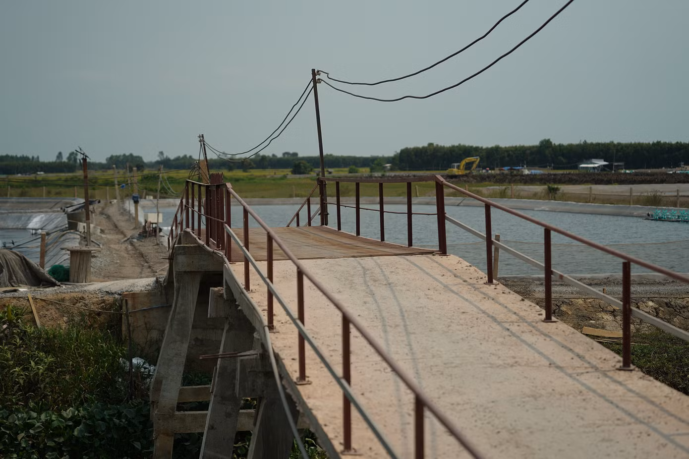 Mỗi khu nuôi tôm mọc lên thì một cây cầu tự xây dựng lên, nhiều công trình kiên cố hoàn thiện ngay trên đất lúa để phục vụ cho việc nuôi tôm...