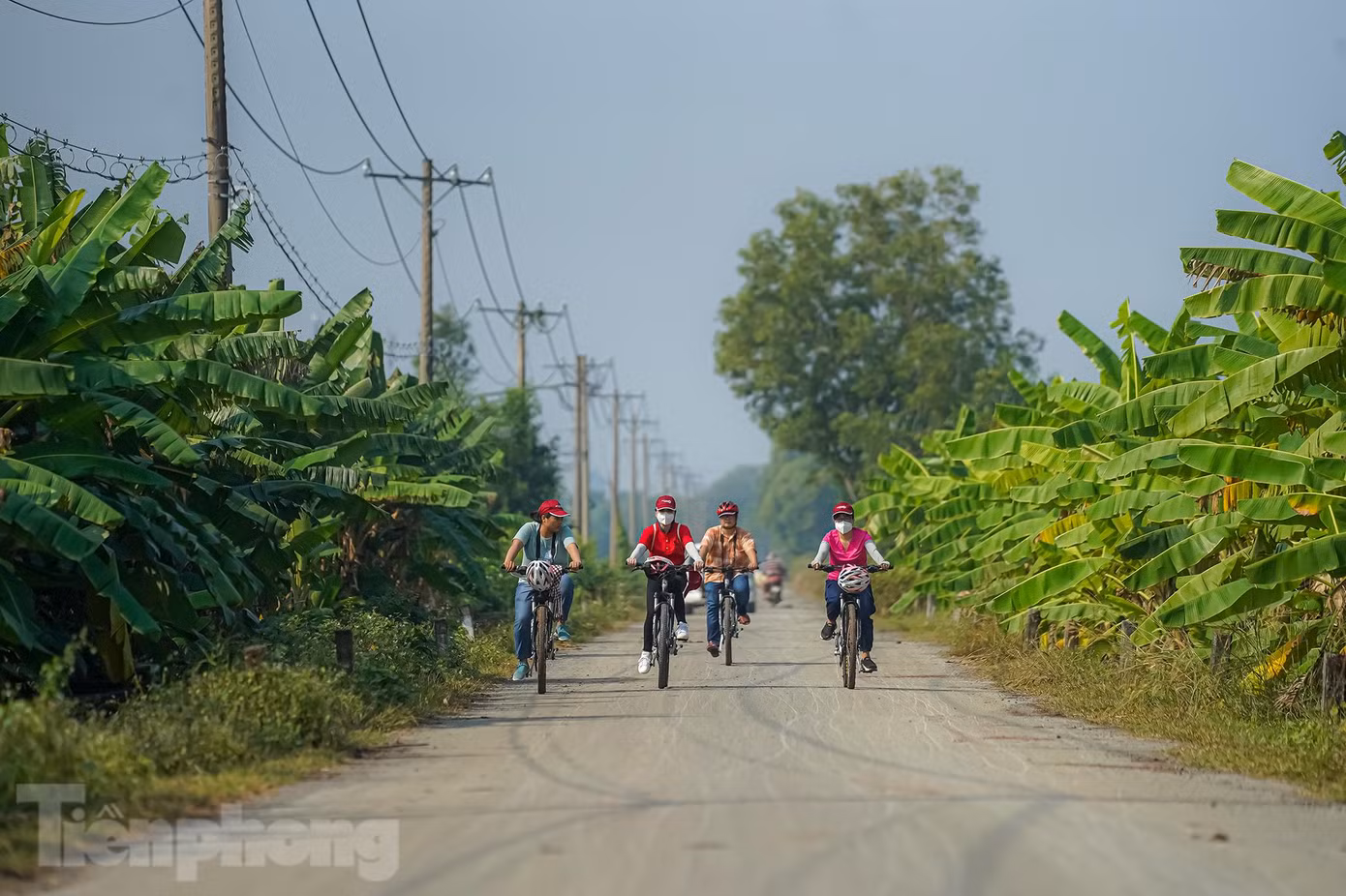 Cuối đoạn đường có hai hàng chuối xanh tươi này là trạm dừng nghỉ.