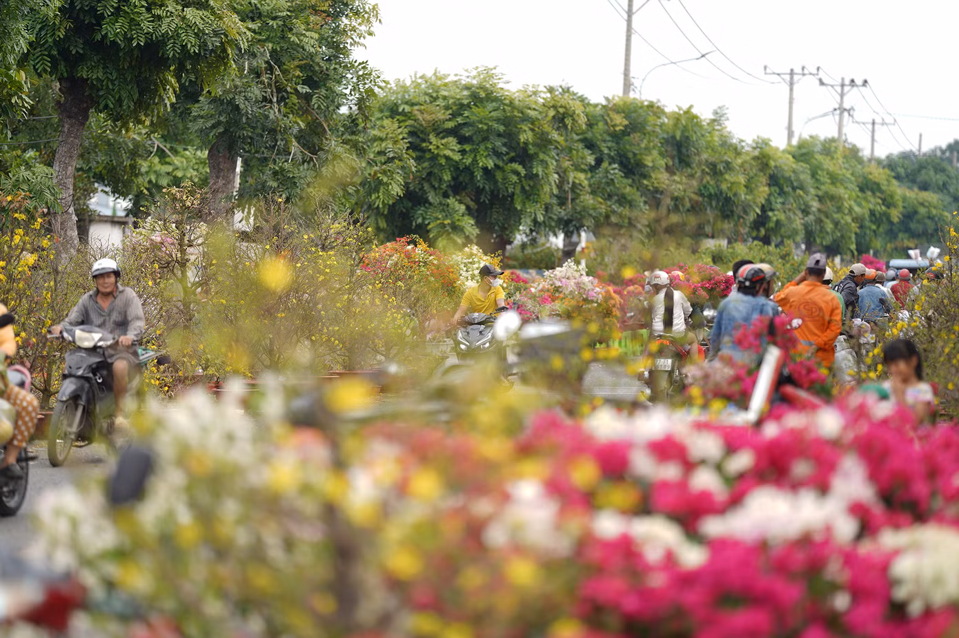 "Đến gần trưa mà chợ còn đông lắm. Tôi đem hai chậu mai Con Cọp này ra câu khách, kêu giá 6 triệu một cặp, có người trả 5 triệu mà tôi không bán. Bán tiếc lắm, đem ra câu khách thôi", anh Tuấn, nhà vườn Bến Tre dí dỏm.