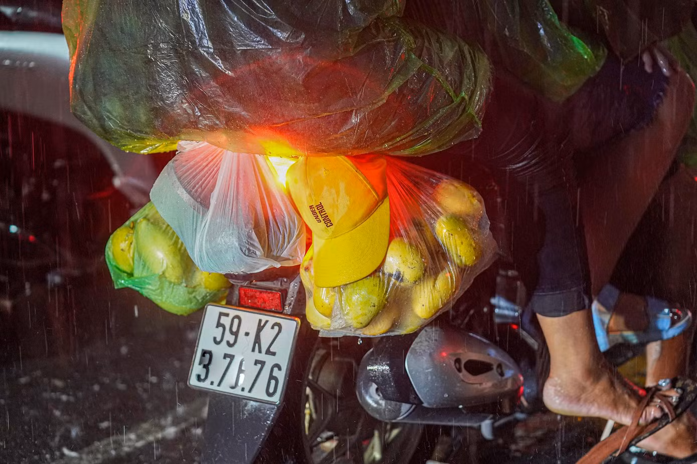 Một chút quà quê mang về thành phố.