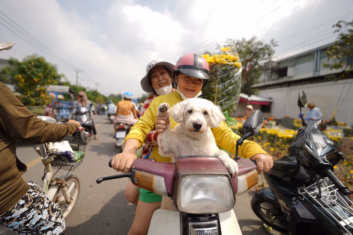 Khi một số nhà vườn chuẩn bị về quê thì giá hoa cũng rẻ đi.
