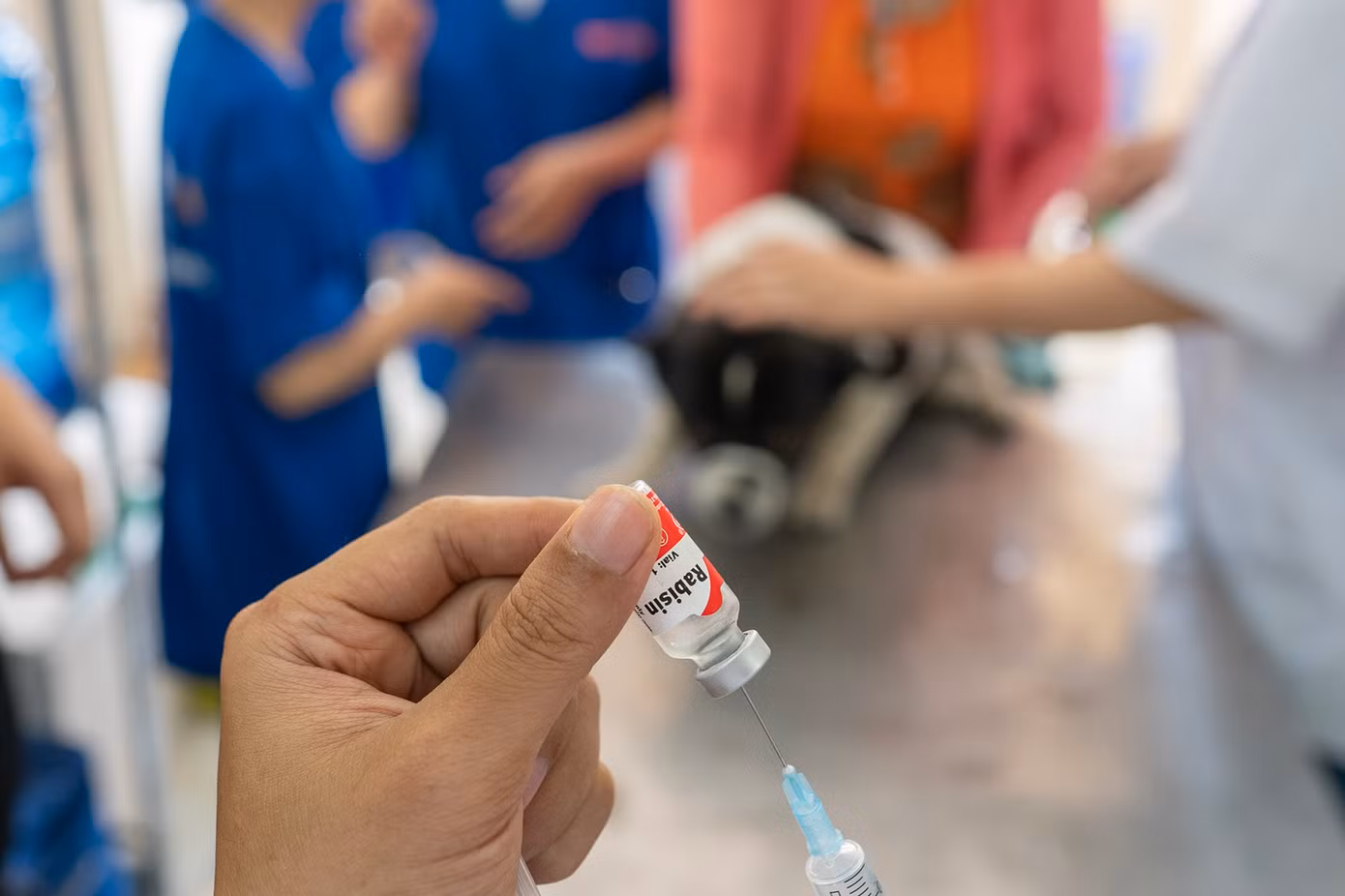 Tiến sĩ Torsten Hardge, Giám đốc Công ty Thuốc Thú Y Boehringer Ingelheim Việt Nam, chia sẻ: “Các chiến dịch tiêm phòng của chúng tôi tại huyện Đức Huệ đã chứng tỏ rằng nếu động vật khỏe mạnh thì con người cũng khỏe mạnh. Với vị thế là đơn vị hàng đầu trên thế giới trong lĩnh vực thú y, chúng tôi tự hào khi góp phần thực hiện công tác phòng chống và xoá bỏ bệnh dại tại Việt Nam”.