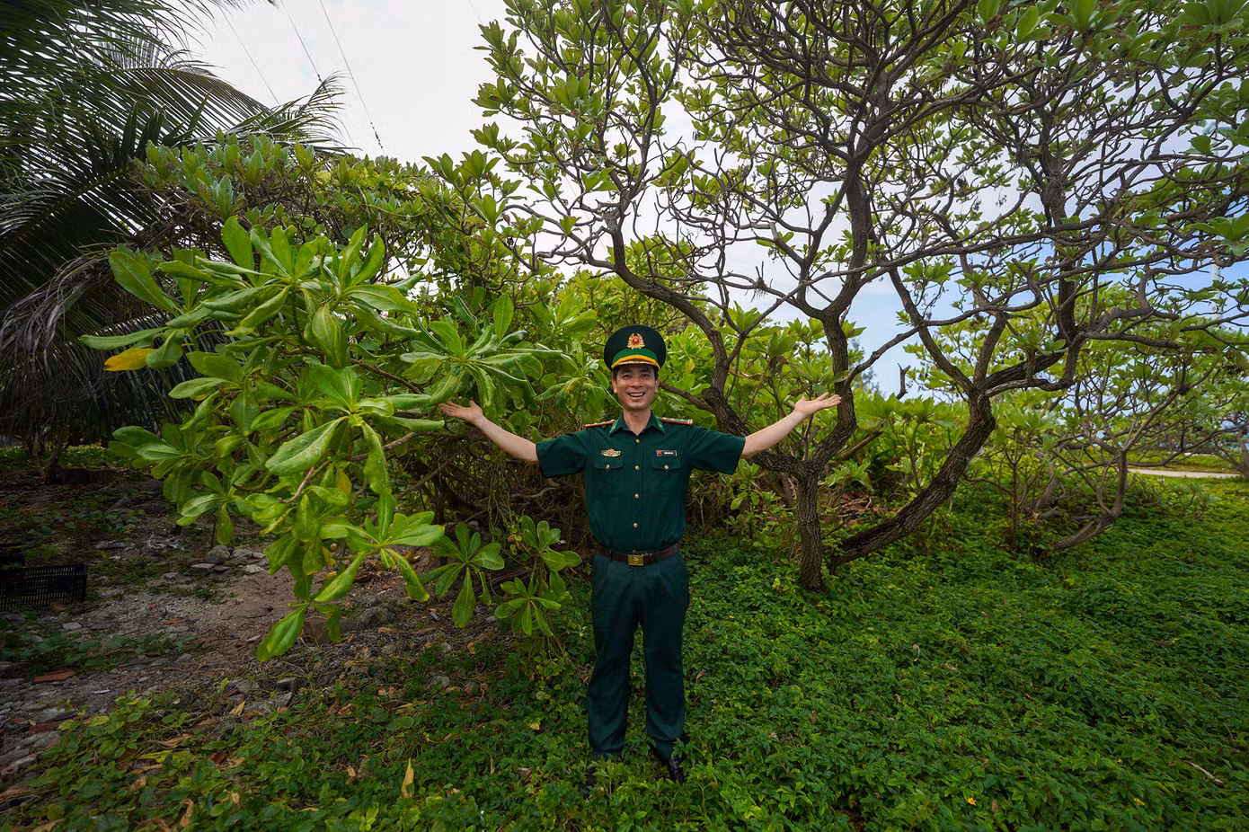 Trung tá Trần Công Du - Đạo diễn ánh sáng Đoàn Văn công Bộ đội Biên phòng, chụp ảnh với hai cây phong ba (bên phải) và cây bão táp. Hai giống cây chống chịu được thời tiết khắc nghiệt giữa biển.