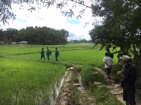 Phát hiện thi thể người phụ nữ lõa thể trên ruộng lúa ảnh 1