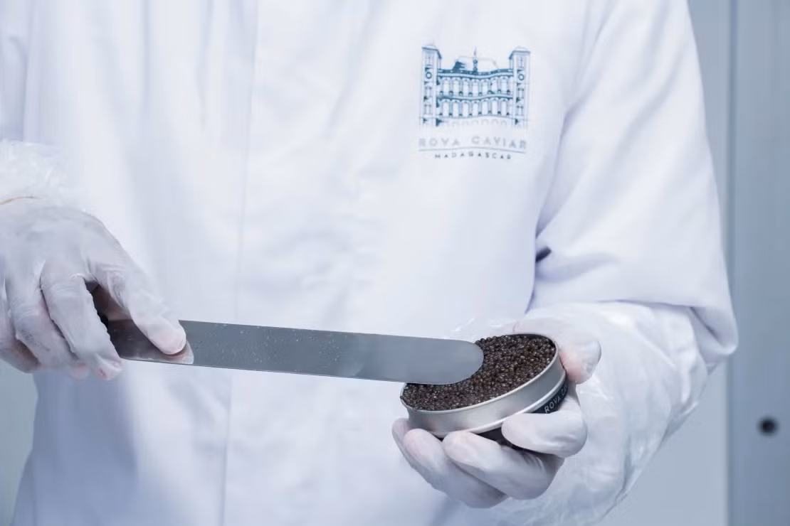 Rova Caviar đã xuất hiện trên thực đơn cao cấp trên khắp thế giới.
