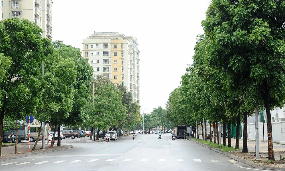 Cận cảnh con đường mang tên Bí thư thứ nhất T.Ư Đoàn đầu tiên ảnh 7