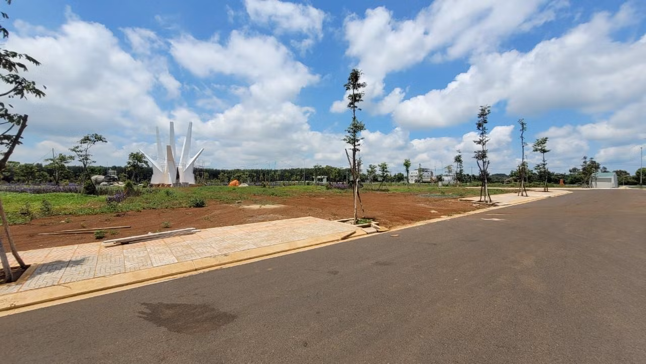 Bên trong dự án của Cty Ân phú , việc đã có hệ thống xử lý nước thải tập trung hay chưa cũng là một dấu hỏi.