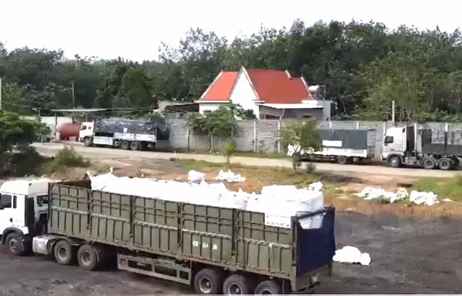 Các phương tiện vận chuyển rác thải về điểm tập kết để thực hiện hành vi chôn lấp