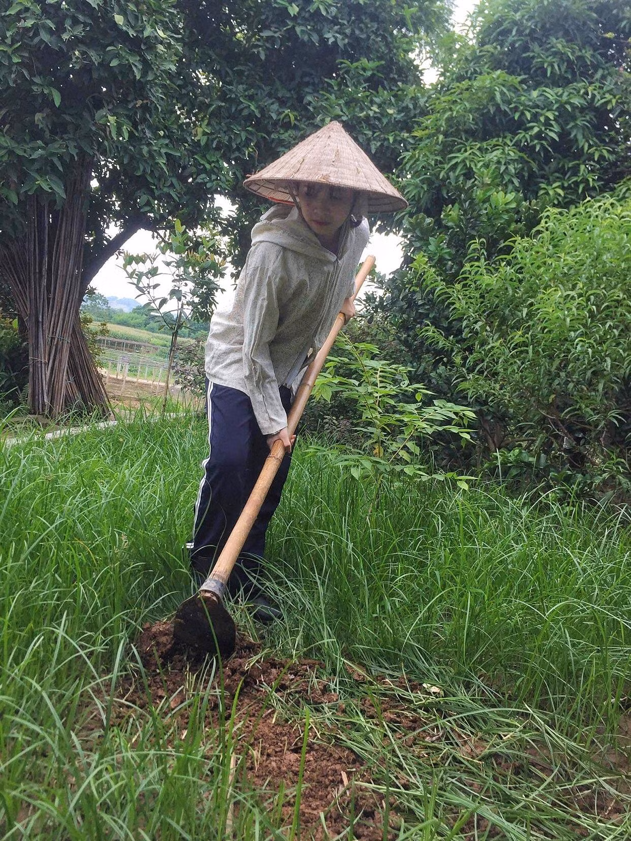 Sau giờ học trên lớp, Hồng Ngọc còn giúp bố mẹ thu hoạch rau, làm các công việc nhà.