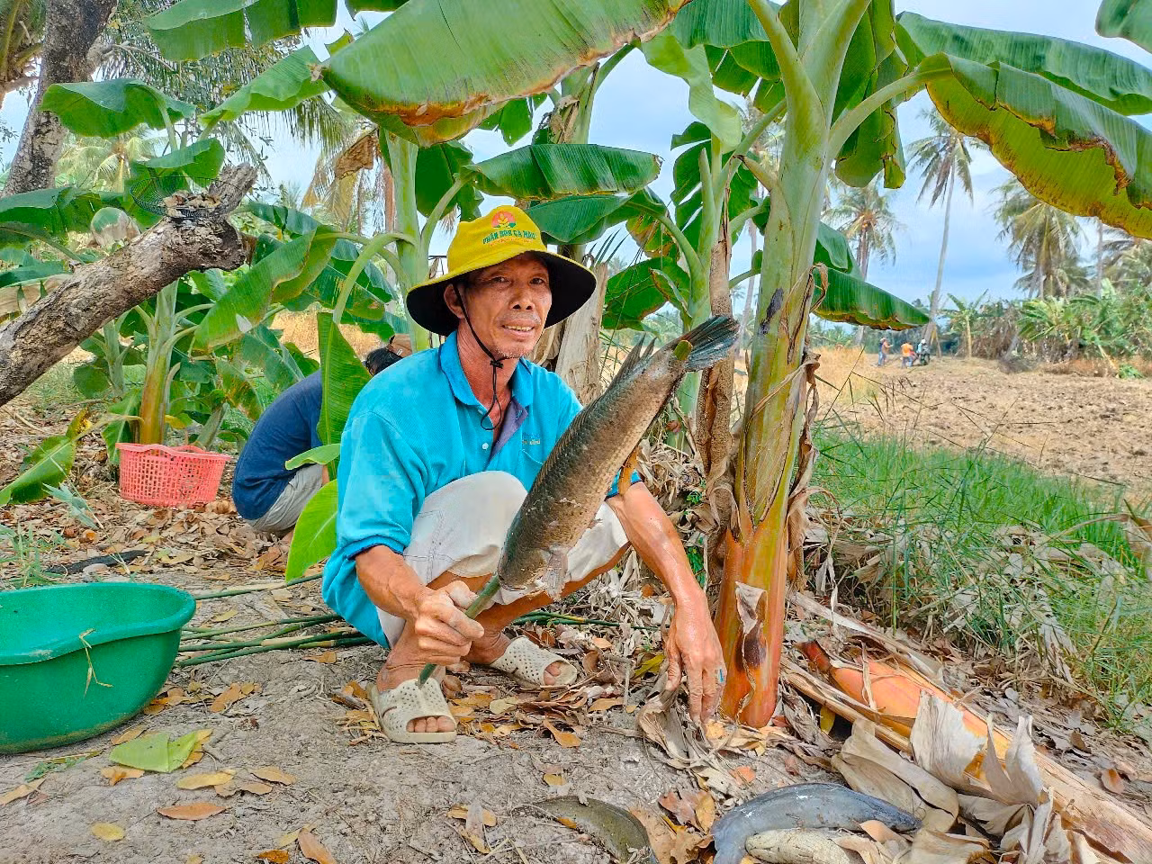 Chủ nhà sẽ lựa những con cá to, ngon đãi bà con hàng xóm.