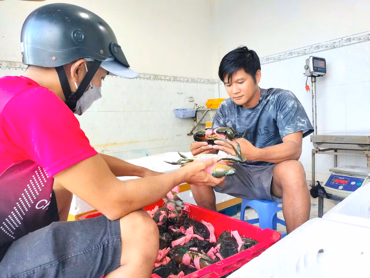 Một cơ sở xuất bán cua biển dịp Tết.