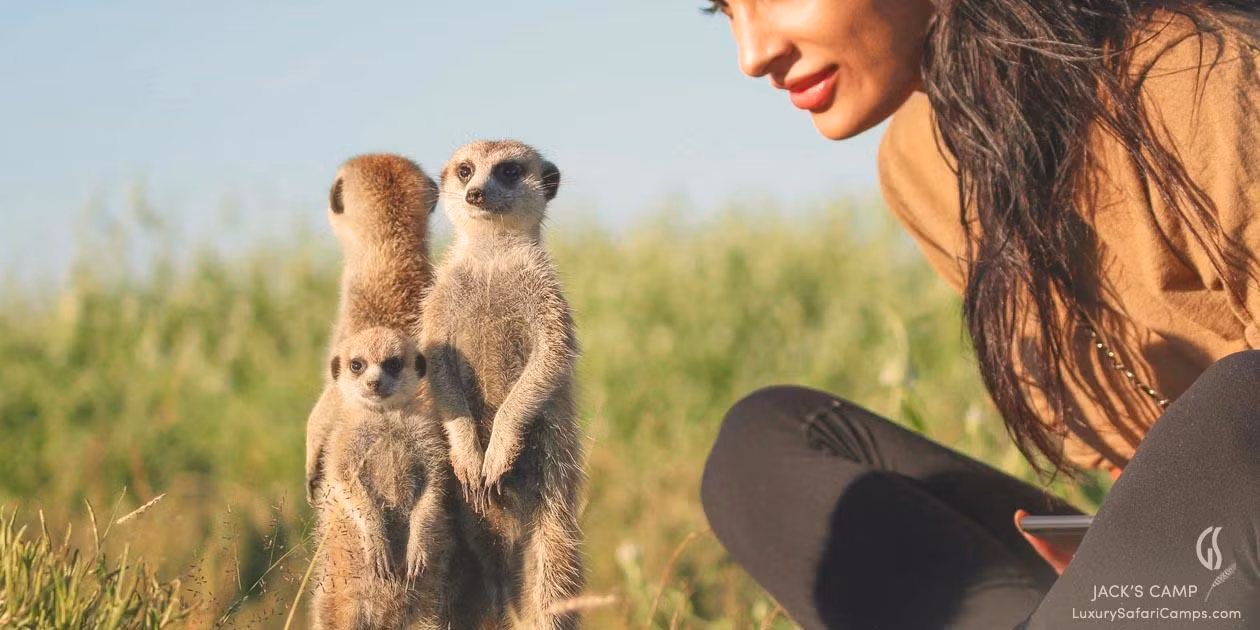 Khu cắm trại Jack's Camp trong sa mạc Kalahari ở Botswana. Ảnh: Jack's Camp.