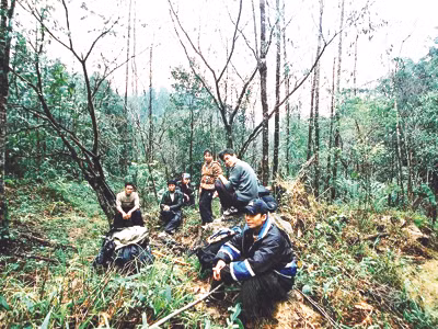 Trên đỉnh núi