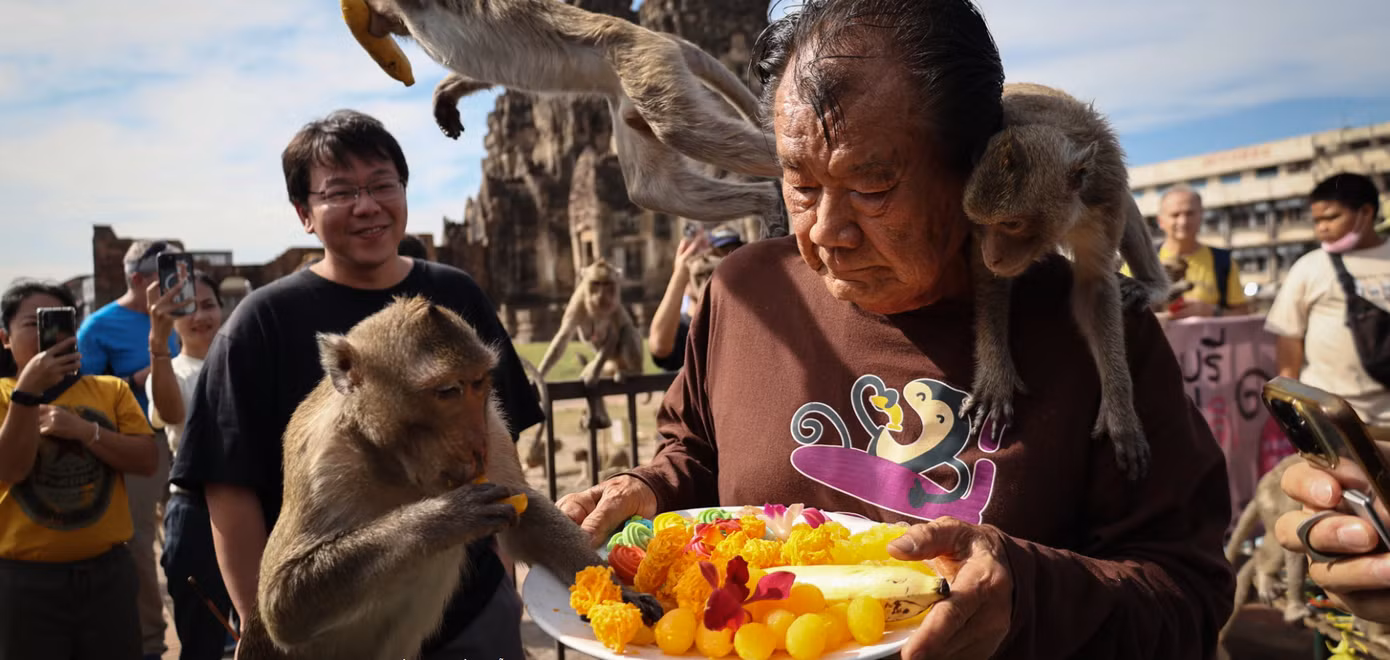 Lopburi được mệnh danh là “Thành phố khỉ” hay “Vương quốc khỉ” và thu hút khách du lịch từ khắp nơi đổ về trải nghiệm. Ảnh: Reuters.