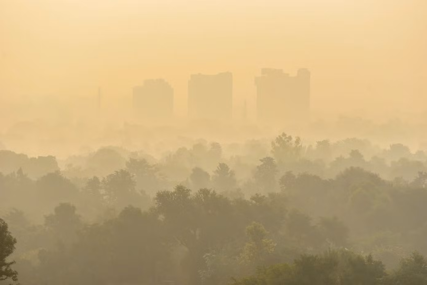 Màn sương mù chết chóc bao phủ các tượng đài và tòa nhà cao tầng ở New Delhi, khiến tầm nhìn xuống thấp đến mức các hãng hàng không phải cảnh báo về sự chậm trễ. Ảnh: The Atlantic.