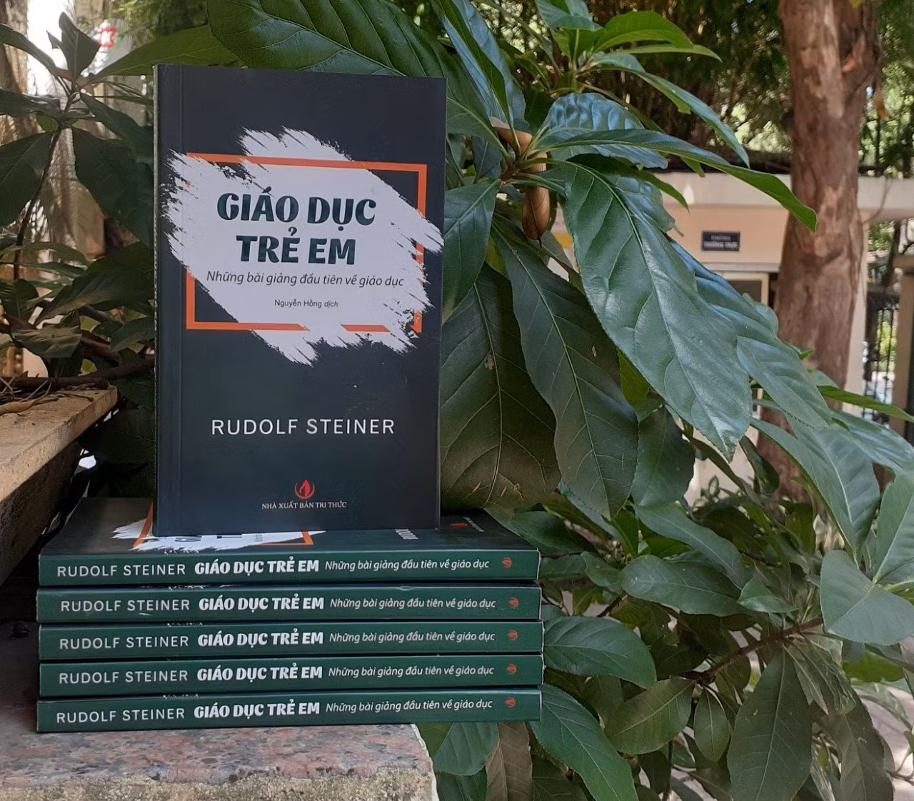 Cuốn sách Giáo dục trẻ em của tác giả Rudolf Steiner.