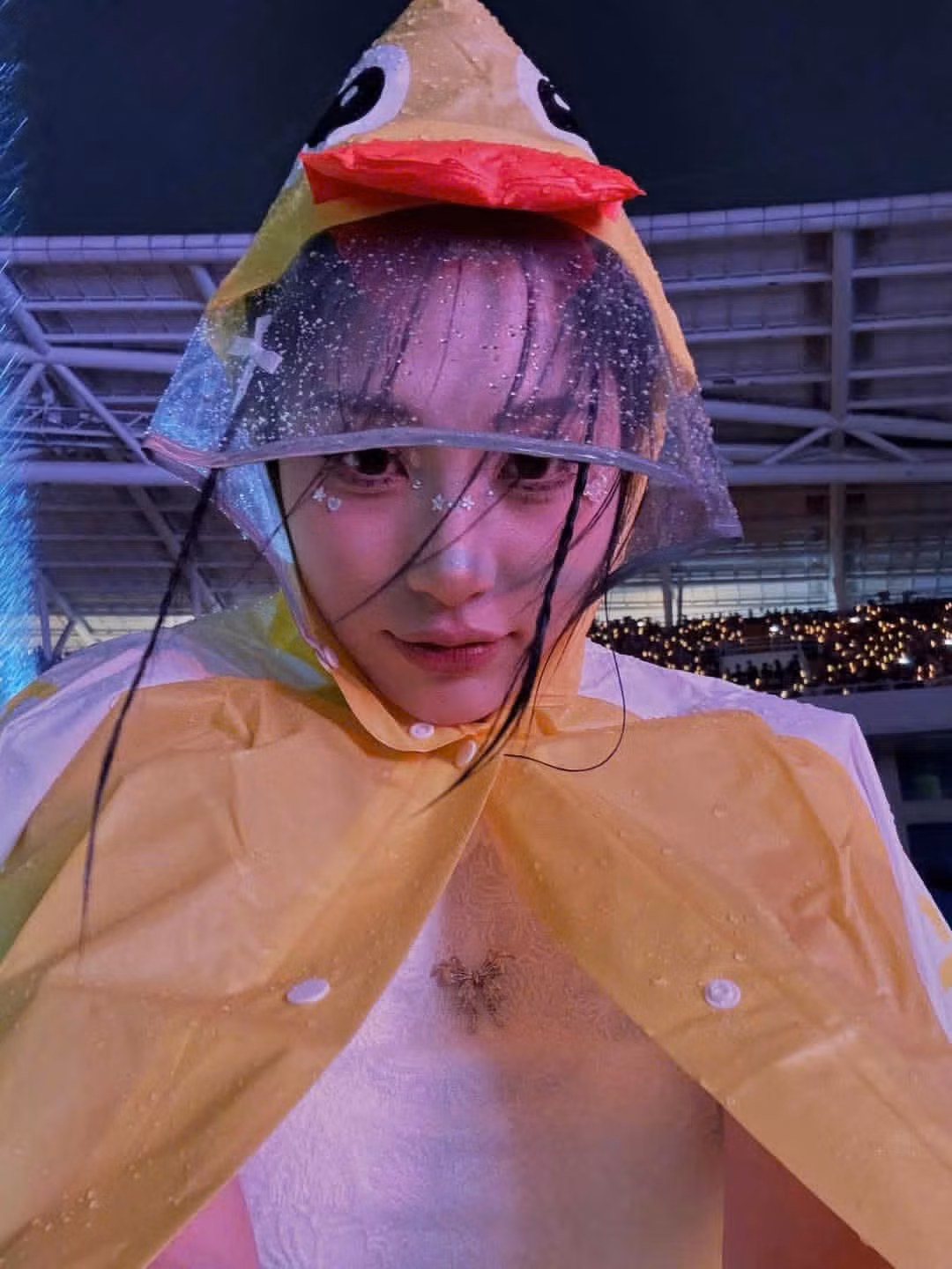 Khán giả đội mưa xem concert. Ban tổ chức cũng phát ô cho người xem từ đầu chương trình.