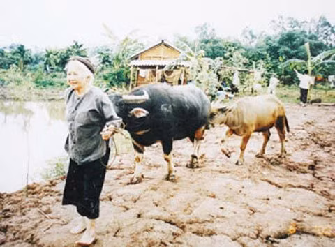 NSƯT Thu An với vai diễn hiền lành, vị tha.
