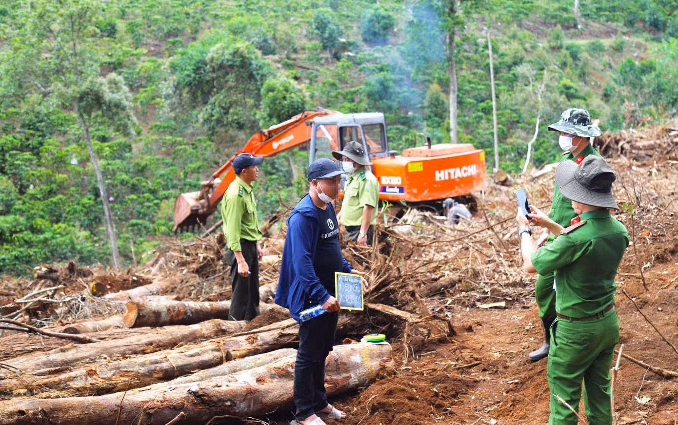 Nguyễn Doãn Trung lái xe máy múc đào bới gốc cây, san ủi đất lâm nghiệp