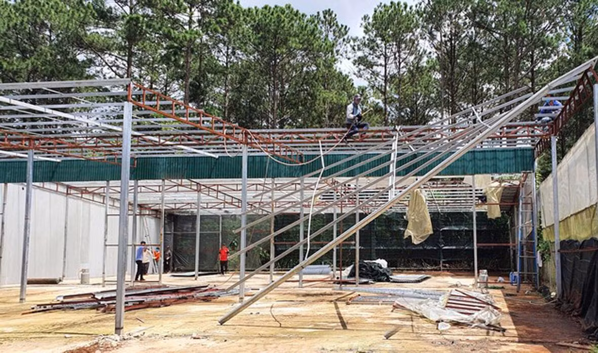Tháo dỡ nhà kính không phép