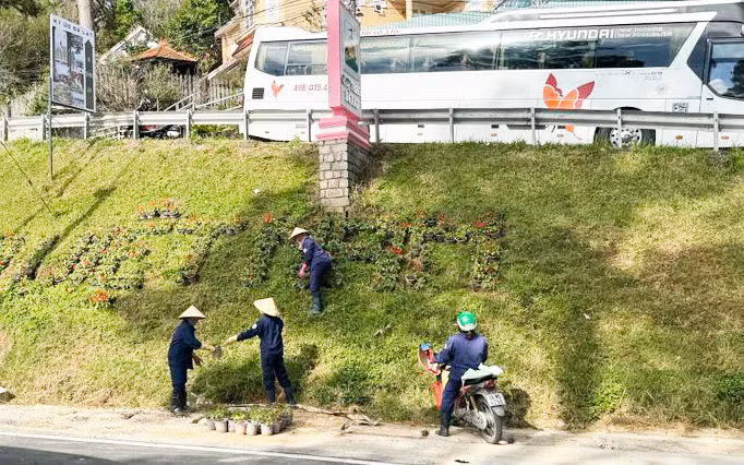 Công nhân trồng hoa làm đẹp ta luy ven đèo