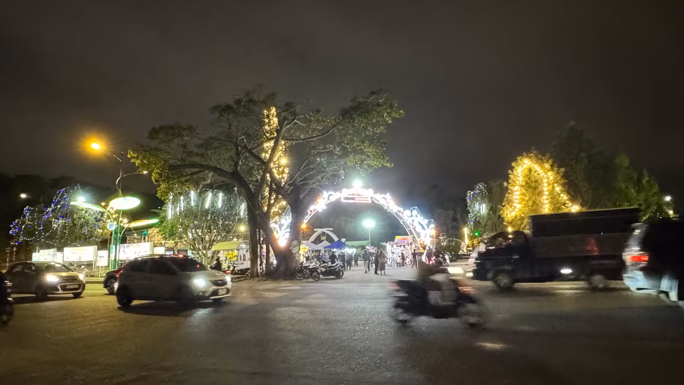Vườn hoa Đà Lạt rực rỡ ánh đèn.