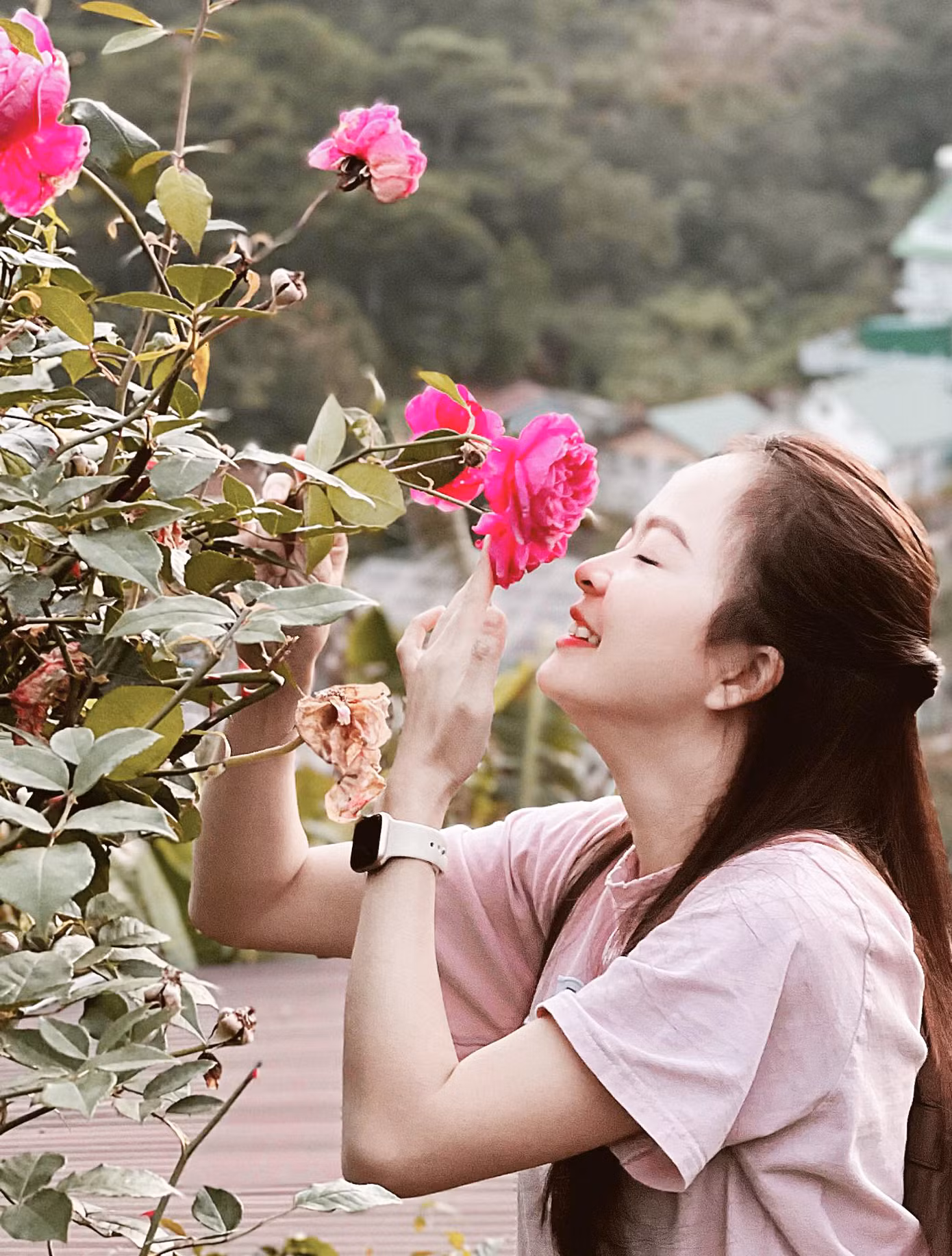 Hoa hồng không chỉ đẹp mà còn thơm