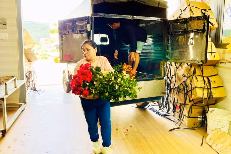 Tất bật sơ chế, vận chuyển hoa đến nơi tiêu thụ