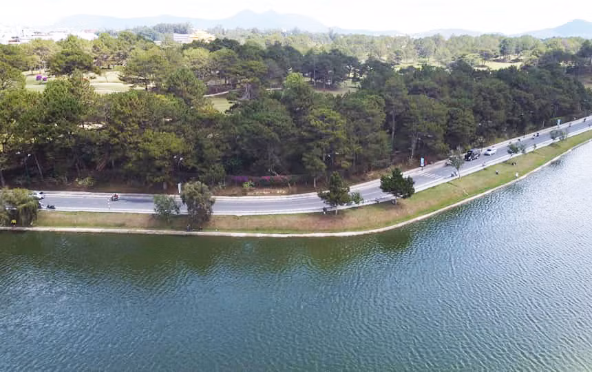 Đường được mở rộng về phía sân golf với chủ trương hạn chế chặt hạ cây thông