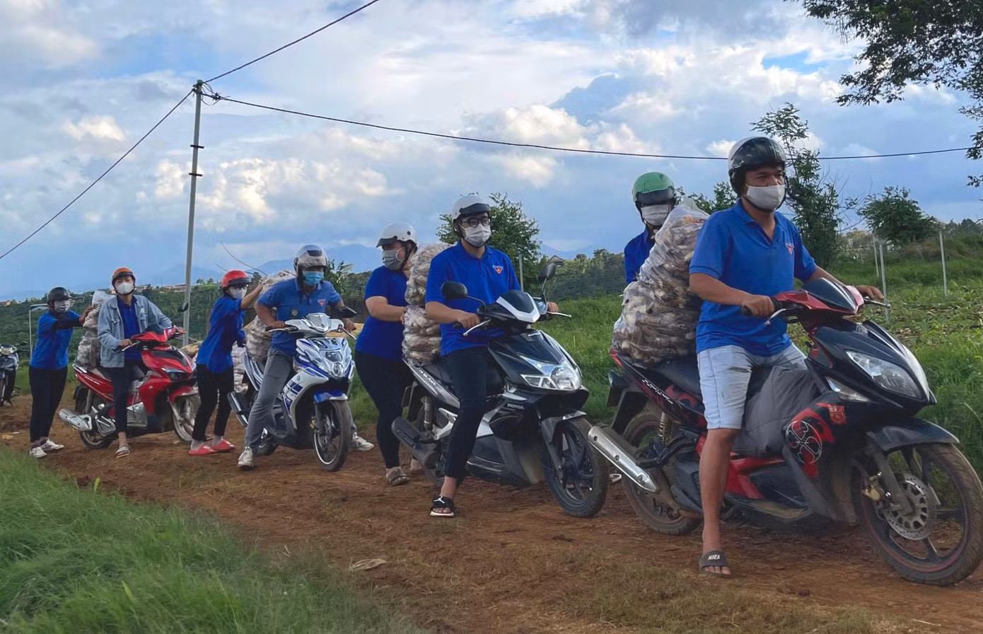 Vận chuyển rau từ vườn ra xe tải