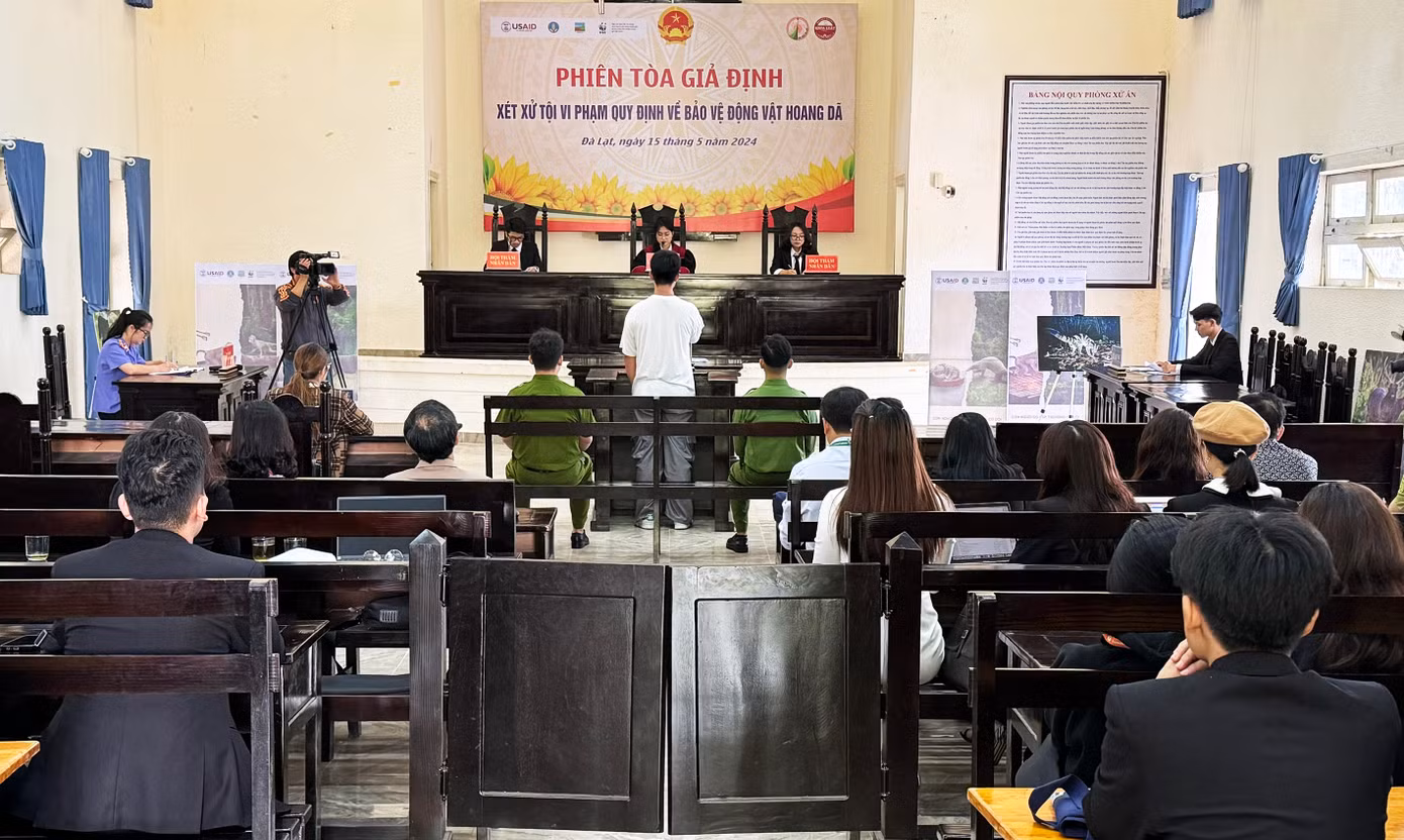 Phiên tòa giả định