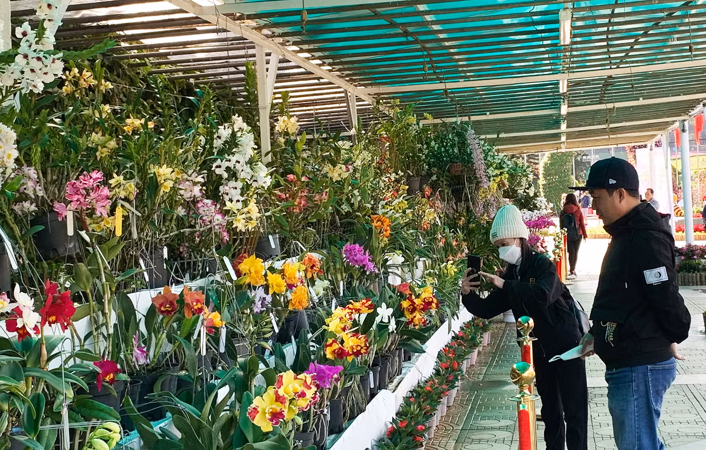Khu trưng bày các tác phẩm dự thi tại Hội hoa xuân