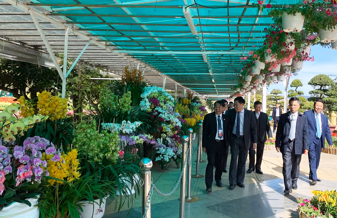 Nơi trưng bày hoa lan tại Hội hoa xuân 2023