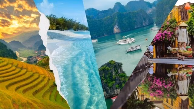 Ban Chỉ đạo là tổ chức phối hợp liên ngành có chức năng giúp Thủ tướng Chính phủ nghiên cứu, chỉ đạo, phối hợp giải quyết các vấn đề quan trọng, liên ngành trong hoạt động du lịch trên phạm vi cả nước...