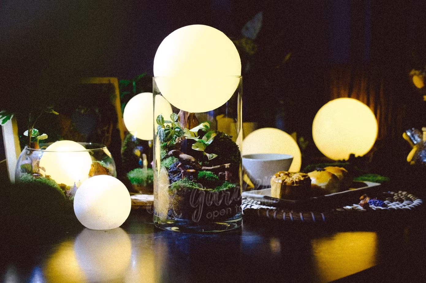 Thành quả sau khi tham gia workshop Terrarium. Ảnh: 9X Garden