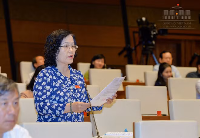 Quốc hội chất vấn và trả lời chất vấn: Truy lãng phí đầu tư ảnh 2