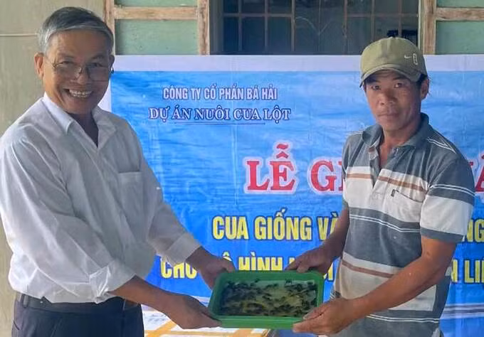 Bàn giao cua giống thuộc dự án nuôi cua lột tại Phú Yên. Ảnh: Báo Phú Yên.
