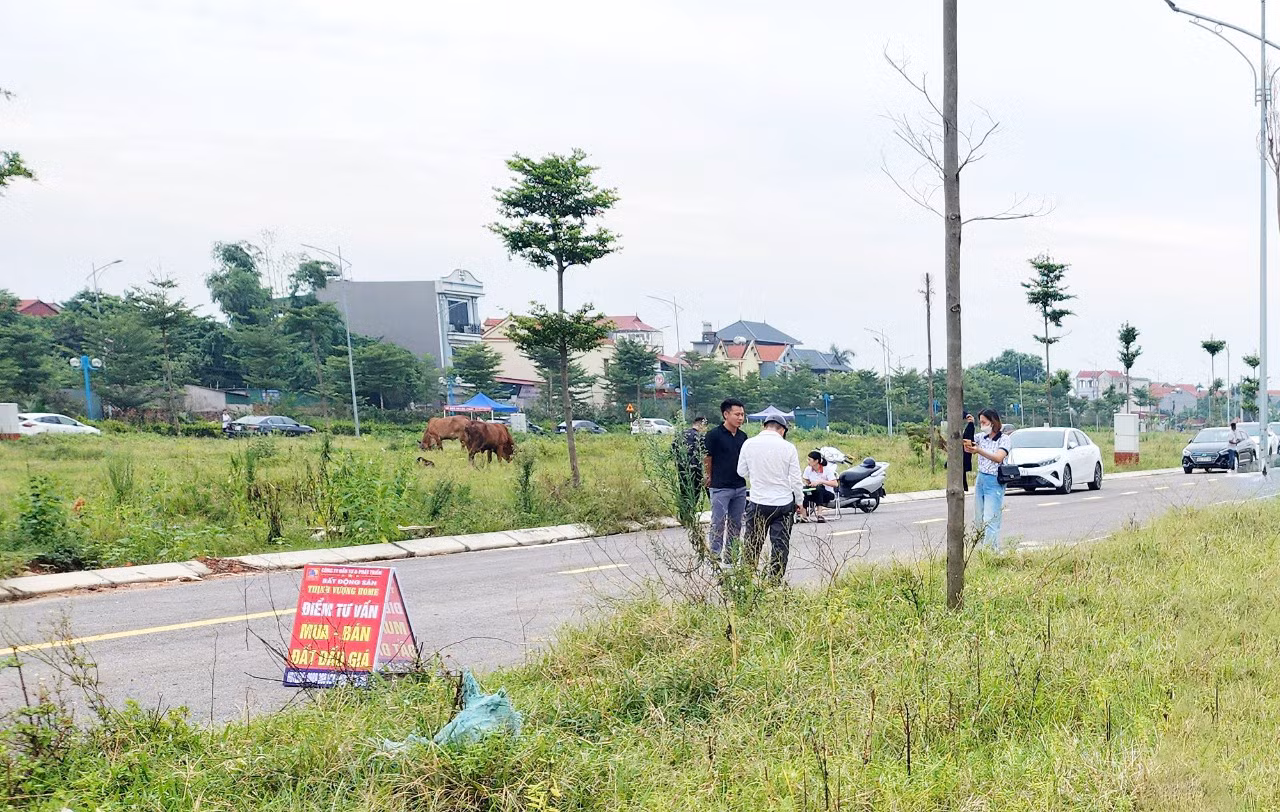 Tình trạng rao bán đất đấu giá trên địa bàn huyện Việt Yên hiện tại vẫn chưa có dấu hiệu “hạ nhiệt. (Ảnh: Lộc Liên)