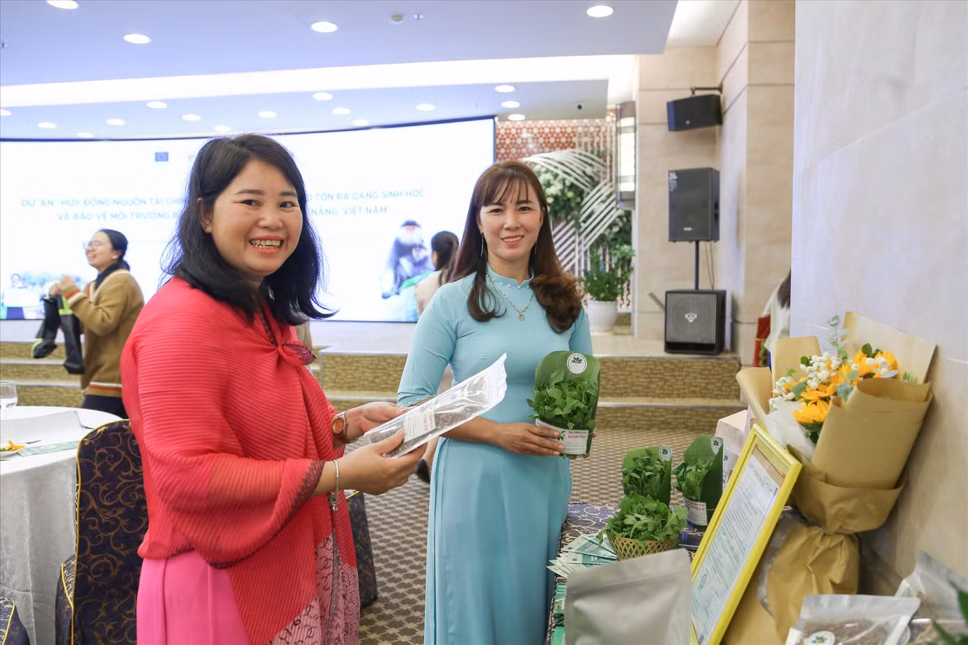 Sa sâm Hải Ninh là sản phẩm VietGap và được bán ra thị trường với nhiều hình thức như: sa sâm tươi, trà sa sâm…