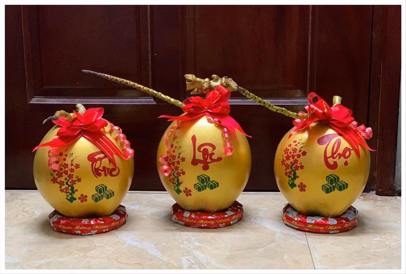 Dừa chơi tết có giá từ 100 đến 200 nghìn đồng/1 quả. Ảnh: Văn Chiến
