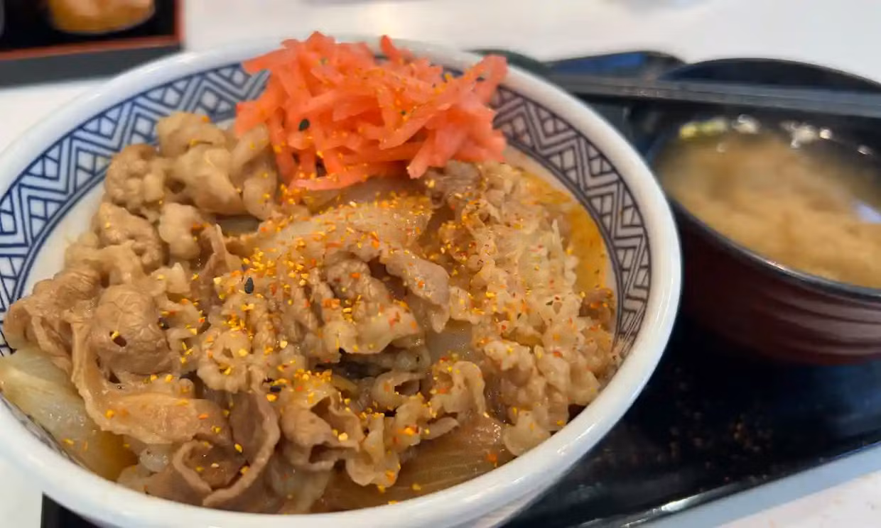 Một bát gyudon, một món cơm phổ biến với thịt bò và hành tây Một bát gyudon, một món cơm phổ biến với thịt bò và hành tây